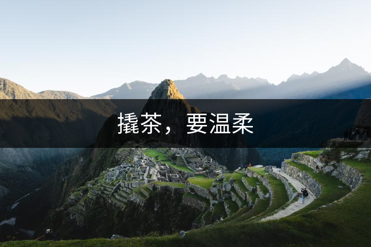 撬茶，要溫柔