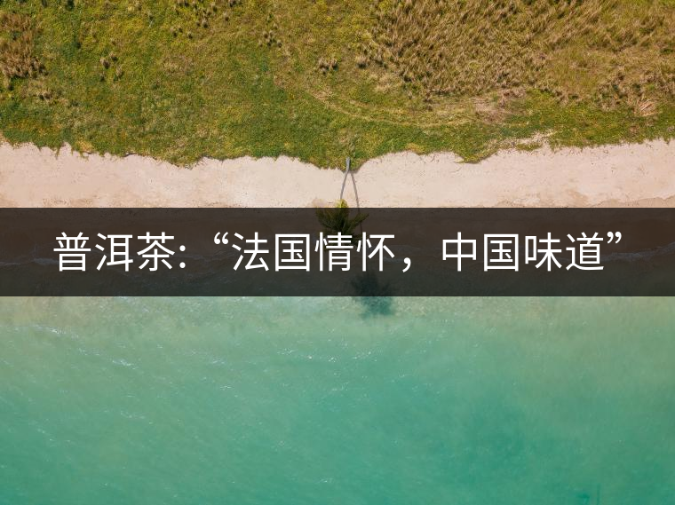 普洱茶:“法國情懷，中國味道”