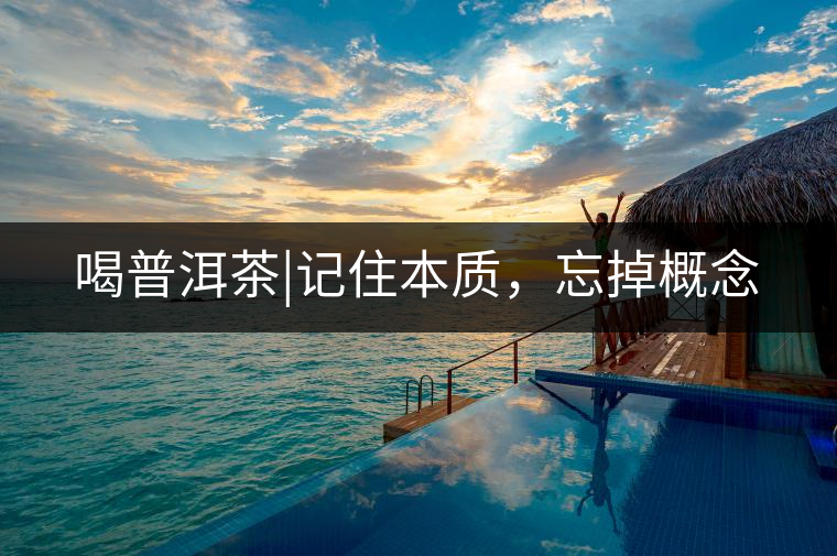 喝普洱茶|記住本質(zhì)，忘掉概念