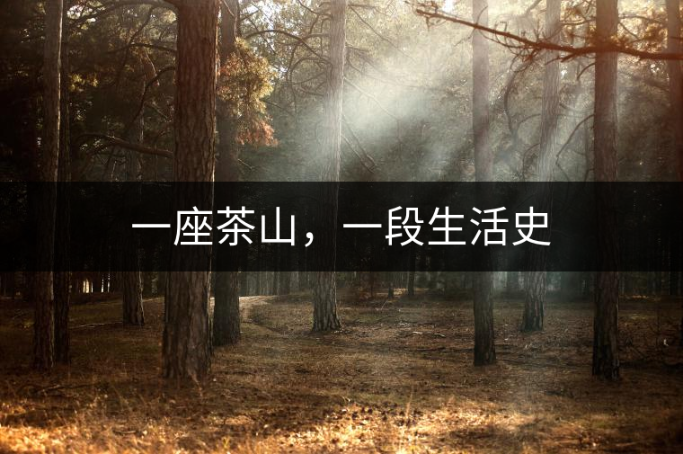 一座茶山，一段生活史