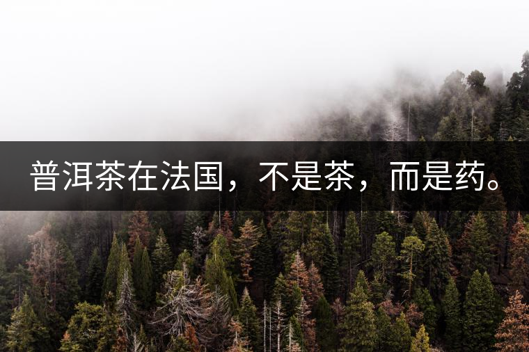 普洱茶在法國(guó)，不是茶，而是藥。