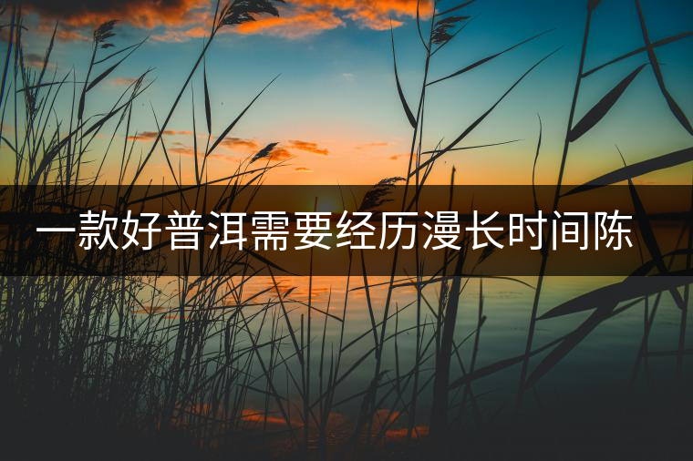 一款好普洱需要經(jīng)歷漫長(zhǎng)時(shí)間陳化