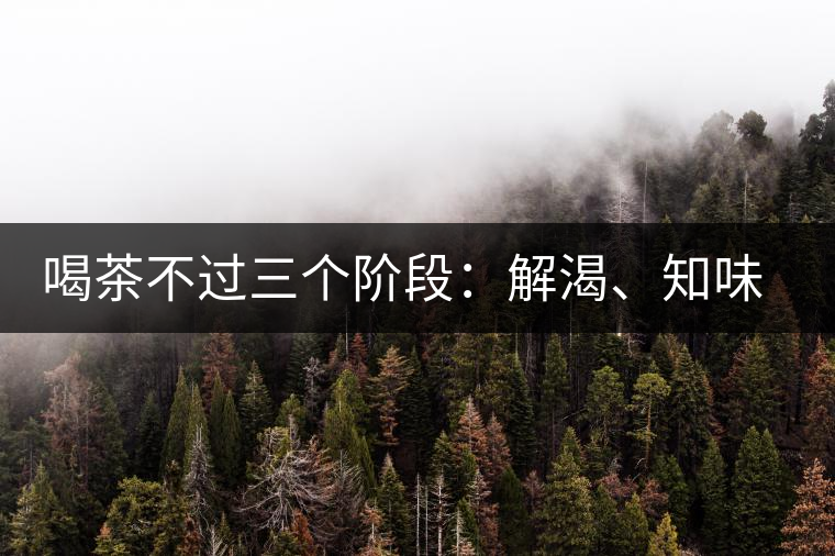 喝茶不過三個階段：解渴、知味、怡情