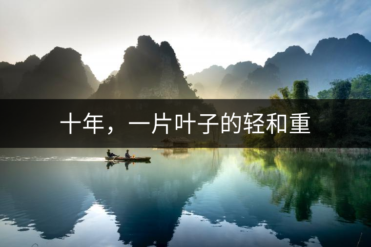 十年，一片葉子的輕和重