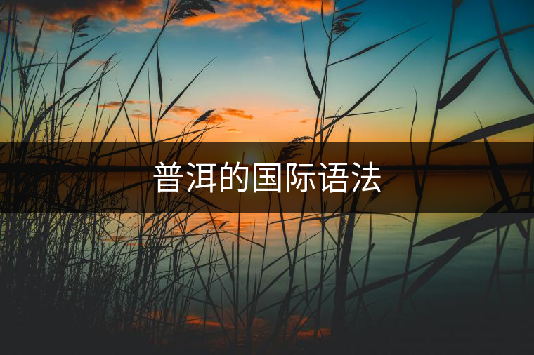普洱的國(guó)際語(yǔ)法