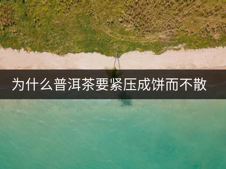 為什么普洱茶要緊壓成餅而不散存呢？