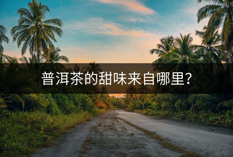 普洱茶的甜味來(lái)自哪里？