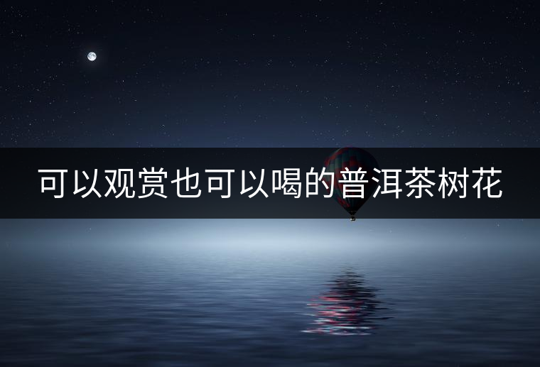可以觀賞也可以喝的普洱茶樹花 可以觀賞也可以喝的普洱茶樹花