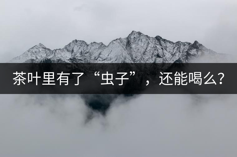 茶葉里有了“蟲(chóng)子”，還能喝么？