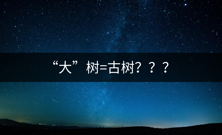“大”樹=古樹？？？