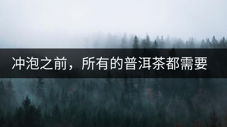 沖泡之前，所有的普洱茶都需要醒茶嗎？