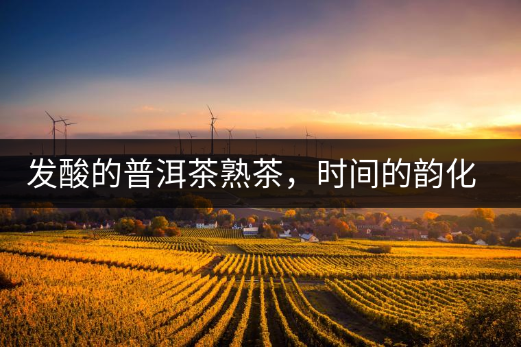 發(fā)酸的普洱茶熟茶，時間的韻化會讓它驚艷無比！