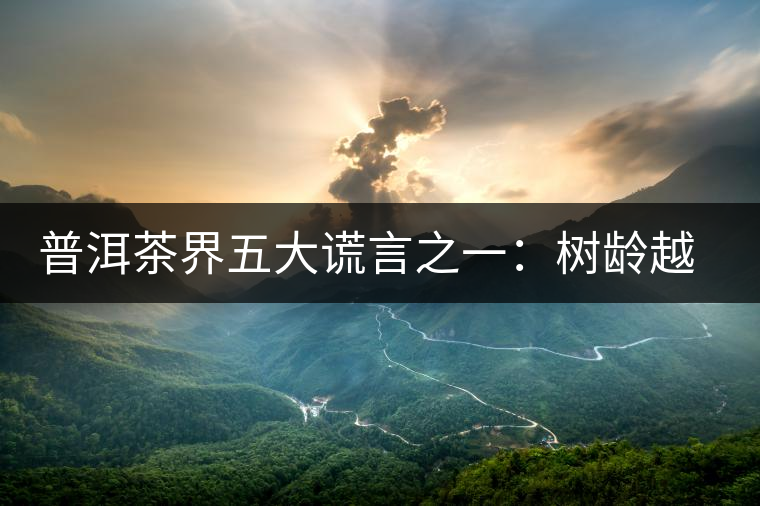 普洱茶界五大謊言之一：樹齡越高，品質(zhì)越好