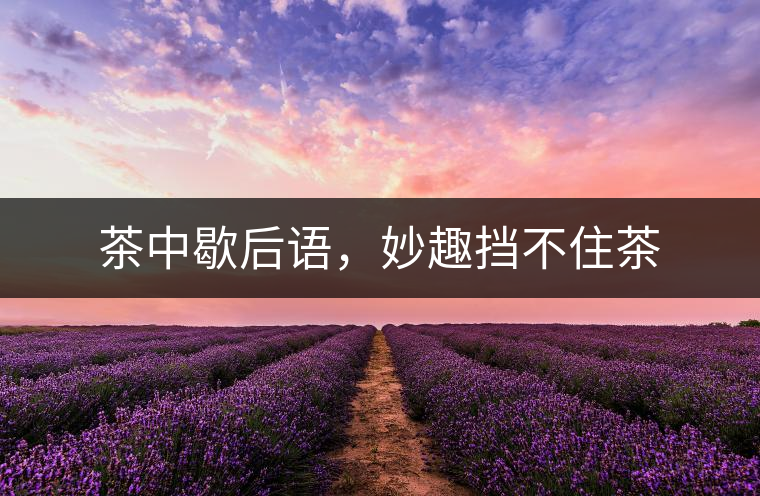 茶中歇后語，妙趣擋不住茶