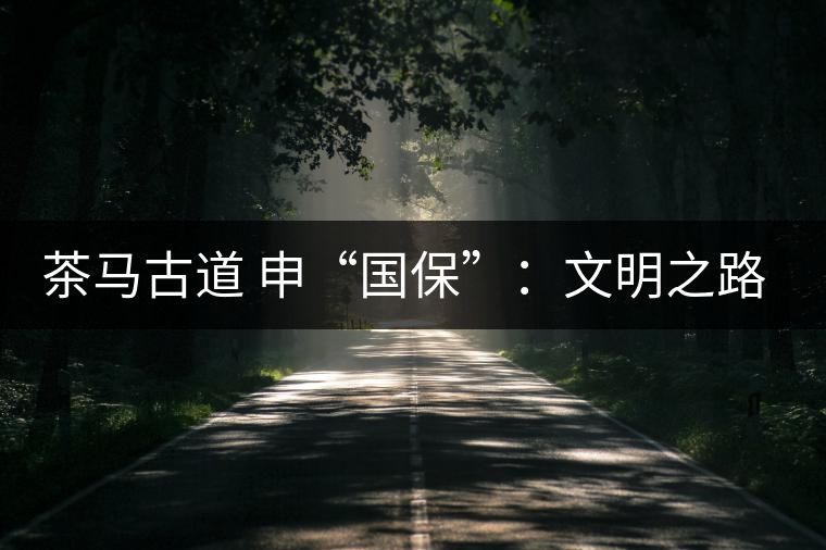 茶馬古道 申“國?！保何拿髦返脑侔l(fā)現(xiàn)