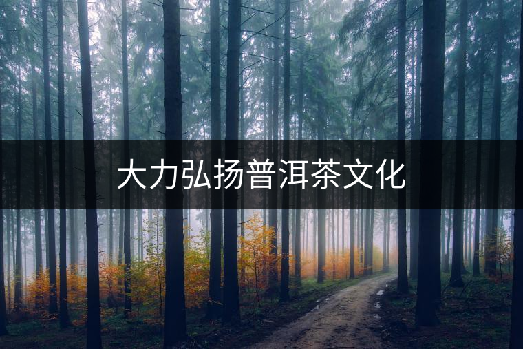 大力弘揚(yáng)普洱茶文化