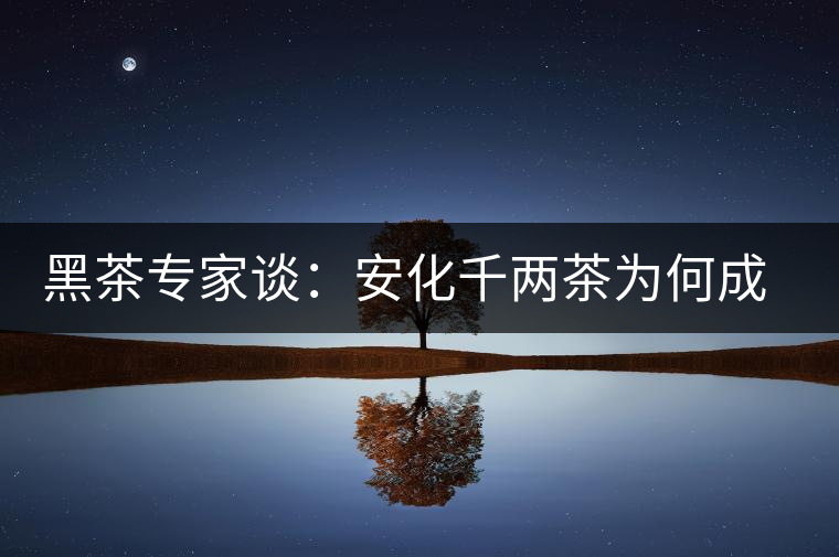 黑茶專家談：安化千兩茶為何成“世界茶王”？