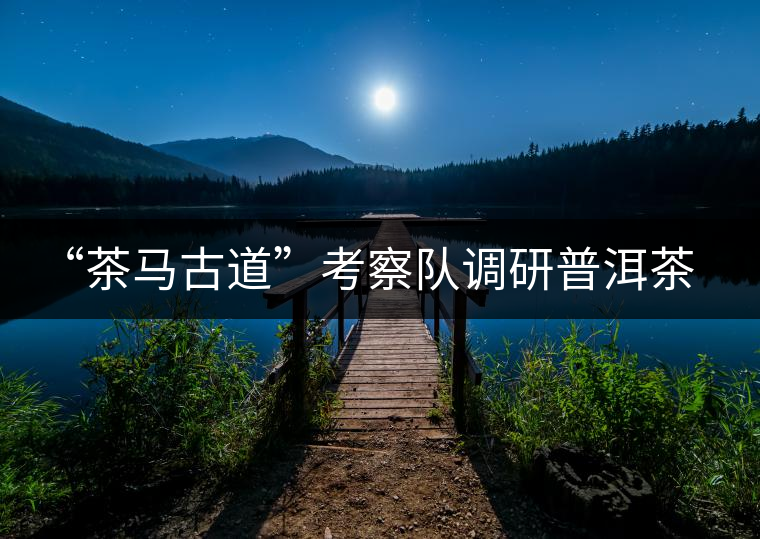 “茶馬古道”考察隊調(diào)研普洱茶文化