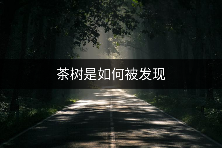 茶樹是如何被發(fā)現