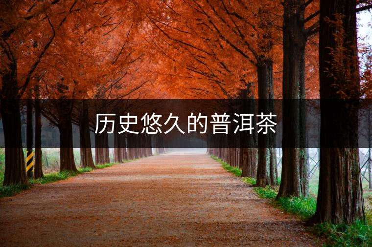 歷史悠久的普洱茶 歷史悠久的普洱茶