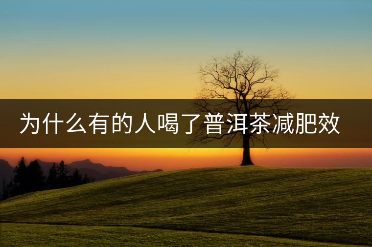 為什么有的人喝了普洱茶減肥效果不明顯呢？