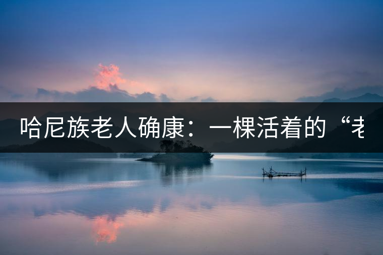 哈尼族老人確康:一棵活著的“老茶樹(shù)” 哈尼族老人確康:一棵活著的“老茶樹(shù)”