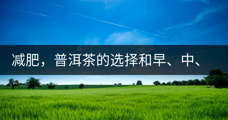 減肥，普洱茶的選擇和早、中、晚的喝法