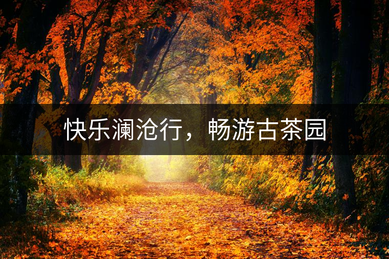 快樂瀾滄行，暢游古茶園