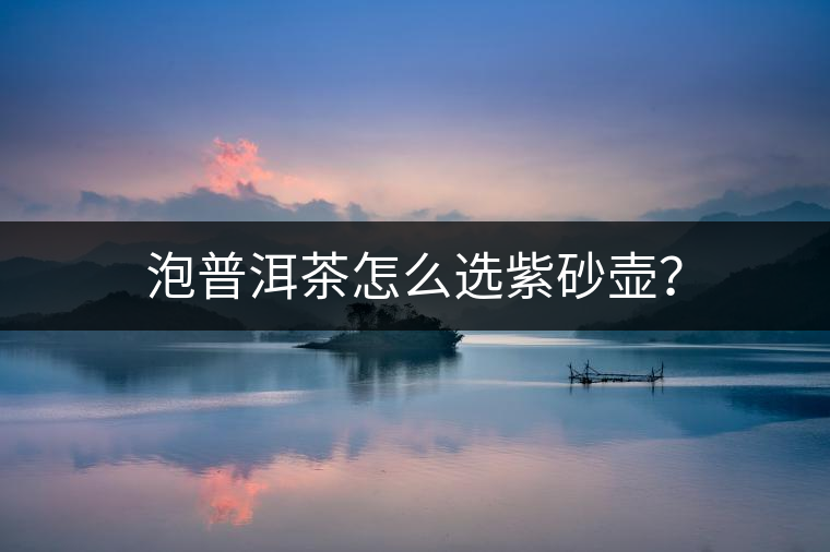 泡普洱茶怎么選紫砂壺？