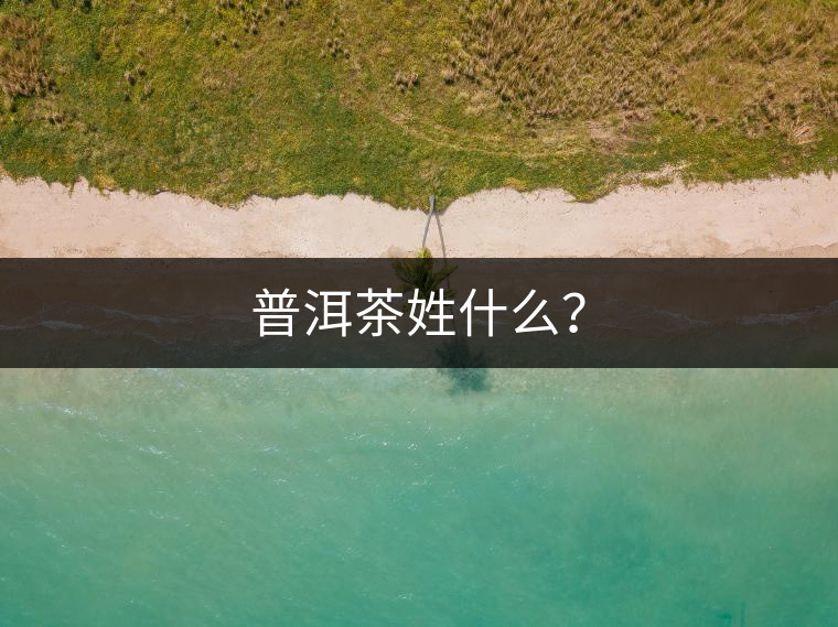 普洱茶姓什么？