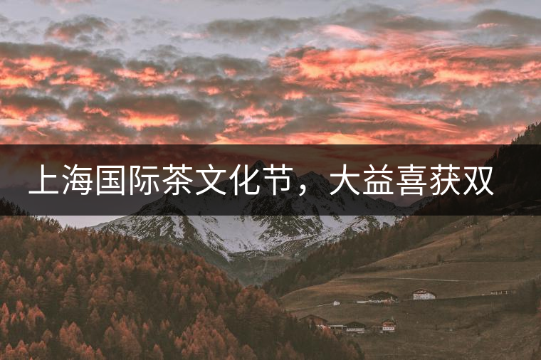 上海國(guó)際茶文化節(jié)，大益喜獲雙獎(jiǎng)