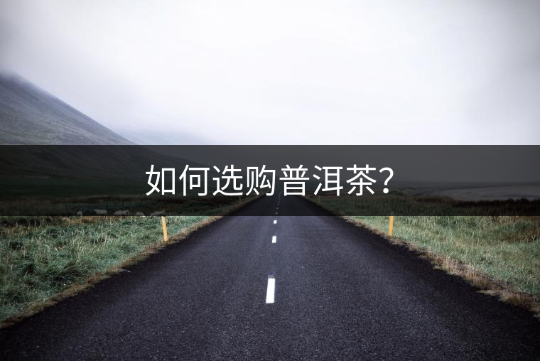 如何選購普洱茶？