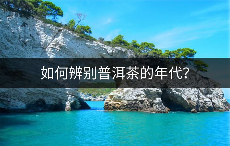 如何辨別普洱茶的年代？