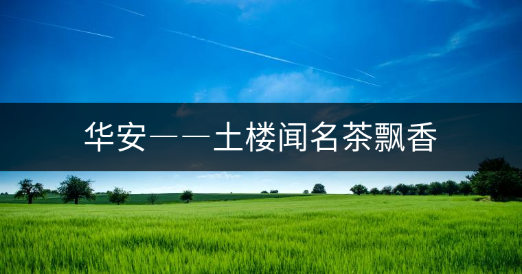 華安――土樓聞名茶飄香 華安――土樓聞名茶飄香