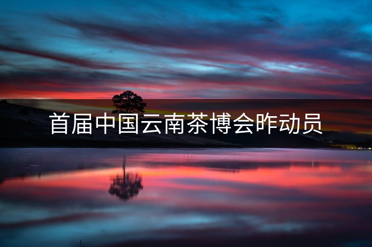 首屆中國(guó)云南茶博會(huì)昨動(dòng)員