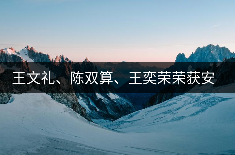 王文禮、陳雙算、王奕榮榮獲安溪茶界三杰