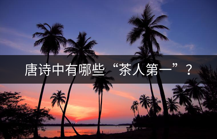 唐詩中有哪些“茶人第一”？