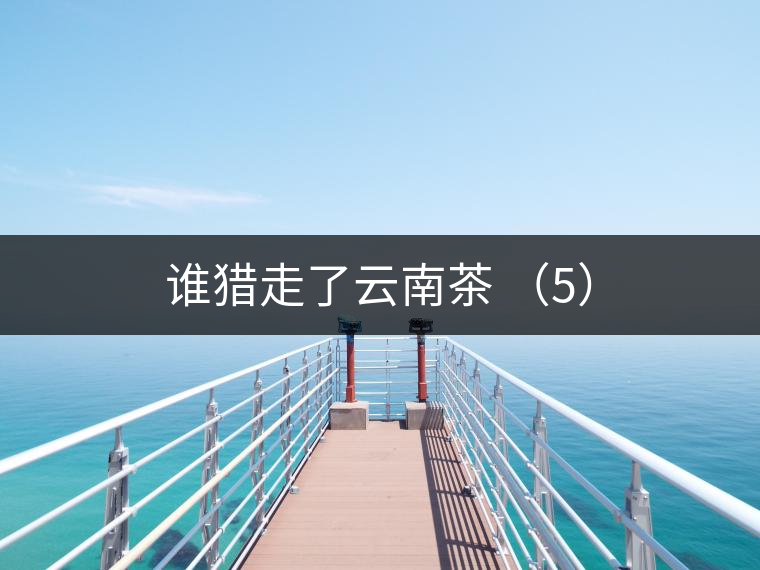 誰(shuí)獵走了云南茶 (5) 誰(shuí)獵走了云南茶 (5)