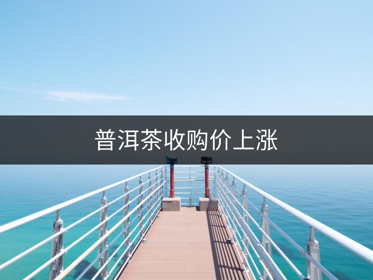 普洱茶收購價上漲