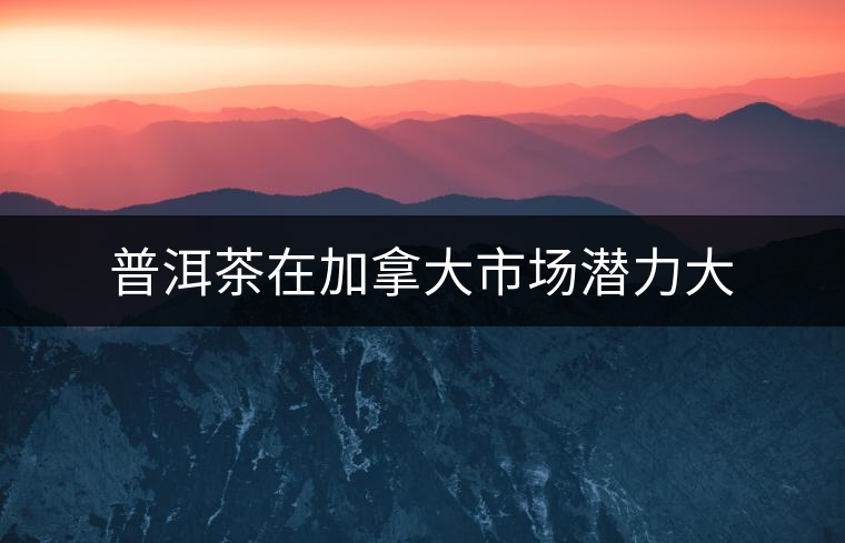 普洱茶在加拿大市場(chǎng)潛力大