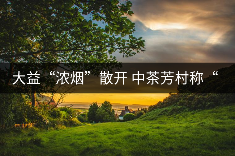 大益“濃煙”散開 中茶芳村稱“王”？