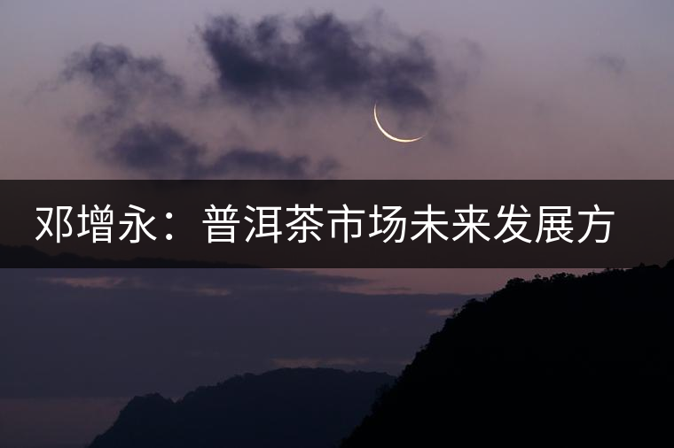 鄧增永：普洱茶市場未來發(fā)展方向展望