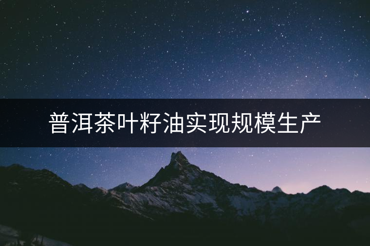 普洱茶葉籽油實現(xiàn)規(guī)模生產(chǎn)