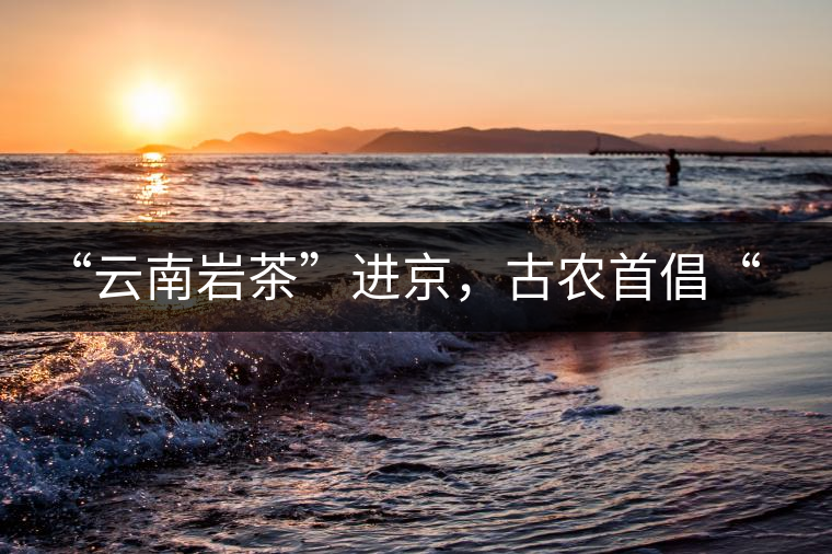 “云南巖茶”進(jìn)京，古農(nóng)首倡“名茶+名企”戰(zhàn)略