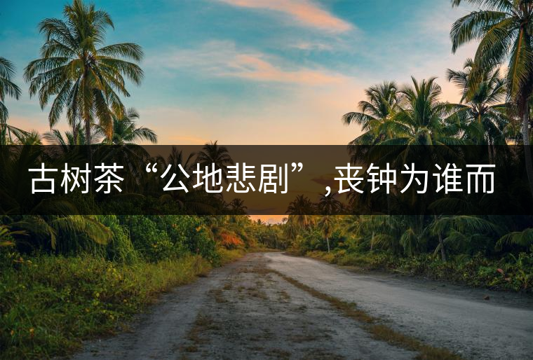 古樹茶“公地悲劇”,喪鐘為誰而鳴！