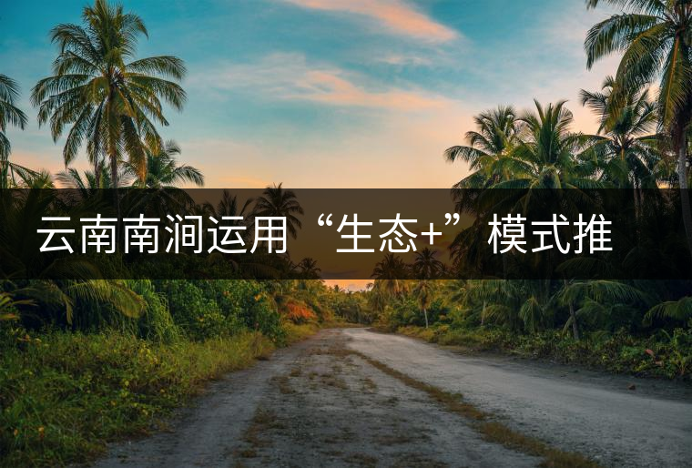 云南南澗運用“生態(tài)+”模式推動茶產業(yè)發(fā)展 云南南澗運用“生態(tài)+”模式推動茶產業(yè)發(fā)展