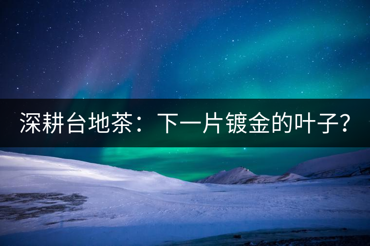 深耕臺(tái)地茶：下一片鍍金的葉子？