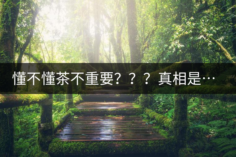 懂不懂茶不重要？？？真相是……