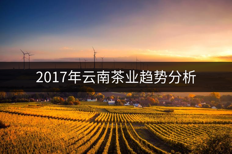 2017年云南茶業(yè)趨勢(shì)分析