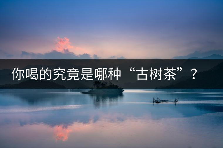 你喝的究竟是哪種“古樹茶”？（收茶必備知識）